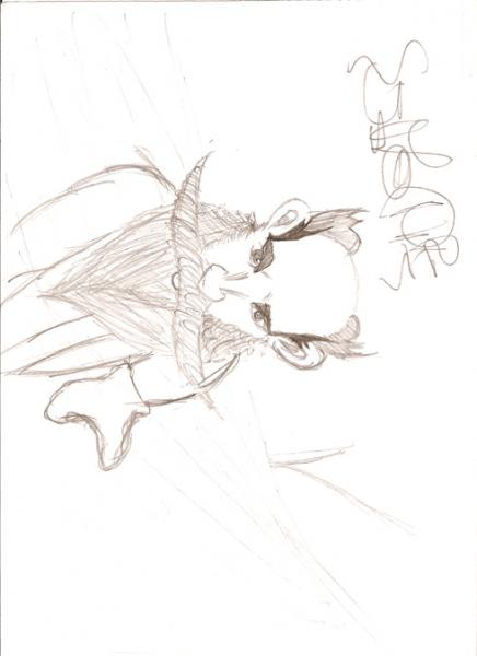 1er dessin