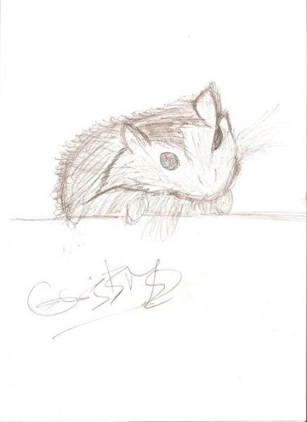 2éme dessin